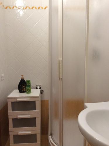 a bathroom with a shower and a sink at Ca Lorelei in Riomaggiore