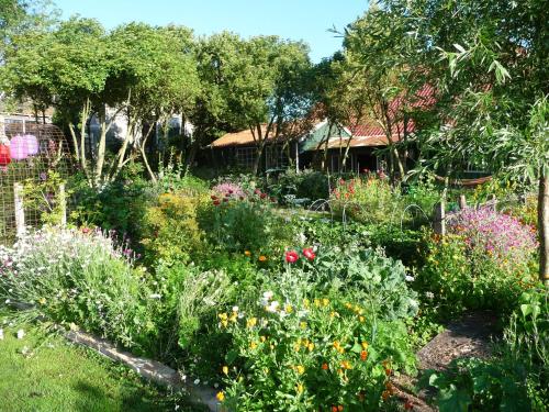 a garden with many different types of flowers at De Wachtkaemer in De Olde Banck in Stavoren