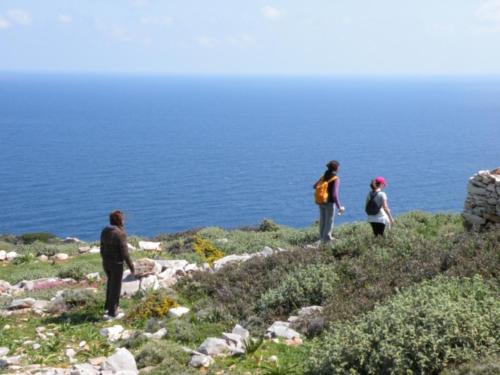 a group of people standing on a hill overlooking the ocean at Adonis Hotel Naxos in Apollon