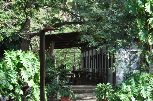 a garden with a table and chairs under a tree at Hotel Ecológico Tierra Blanca in Moyogalpa