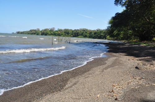 a sandy beach with trees and the water at Hotel Ecológico Tierra Blanca in Moyogalpa