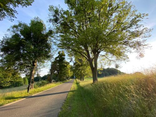 a road with trees on the side of the road at Schlosshotel Gross Koethel in Hohen Demzin