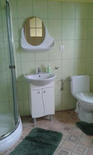 a bathroom with a sink and a toilet and a mirror at Pod Piramidą in Ługniany