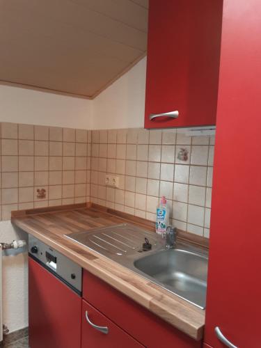 eine Küche mit einem Waschbecken und einem roten Schrank in der Unterkunft Ferienwohnung auf den Bauernhof in Tauscha