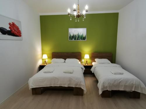 a bedroom with two beds and a green wall at Ambient Deluxe Apartman in Gyula