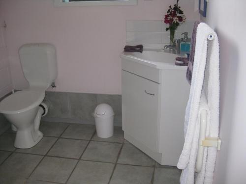 uma casa de banho com um WC e um lavatório em Moanarua Beach Cottage em Ohope Beach