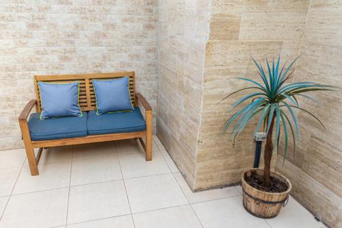 a blue couch and a potted plant in a room at סטודיו 10 studio in Eilat