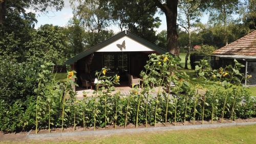 a garden with a small house in the background at B&B Ebbenbroek in Bruchterveld