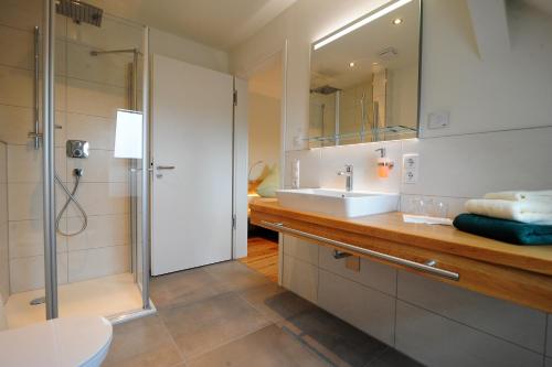 a bathroom with a shower and a sink and a mirror at Blekkers Bed&Breakfast in Uelsen