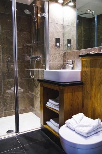 a bathroom with a shower and a sink and a toilet at The Saracens Head Inn in Symonds Yat
