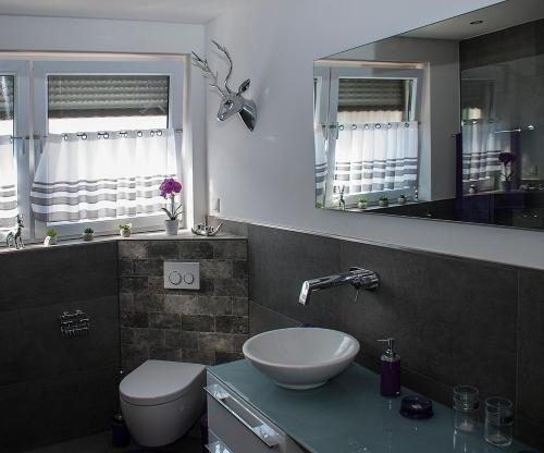 a bathroom with a sink and a toilet and a mirror at Hochwertige und moderne Ferienwohnung Huber in Neuweiler