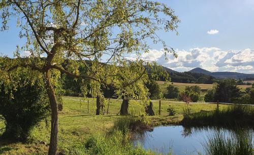 La chambre d'hôte du Petit Mazilloux