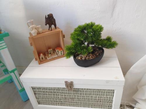 a white table with a plant on top of it at PiranArt Boutique Hotel & More in Piran