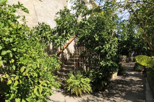 a set of stairs in a garden with trees at Coosy rooms KATARINA in Lumbarda