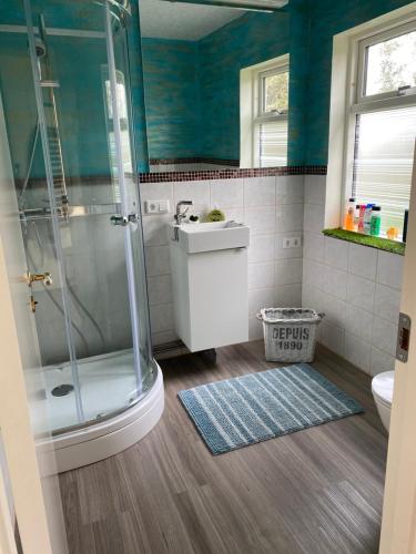 uma casa de banho com um chuveiro e um lavatório. em House overlooking the bay in Borgarnesi em Borgarnes