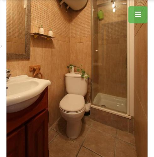 a bathroom with a toilet and a sink and a shower at Aparta o aporta in Salou