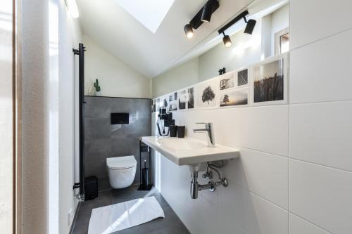 a white bathroom with a sink and a toilet at Chalets Royal, Tatranská Lomnica in Tatranská Lomnica