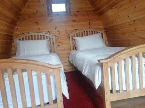 a bedroom with two beds in a log cabin at Teach Greannai Accommodation Pod in Ross Port