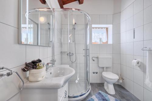 a bathroom with a shower and a sink and a toilet at Haus Albino in Kršan