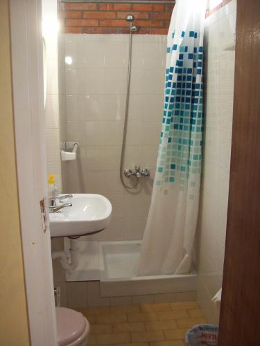 a bathroom with a sink and a shower and a toilet at Pensión Los Pinos Gijón in Gijón