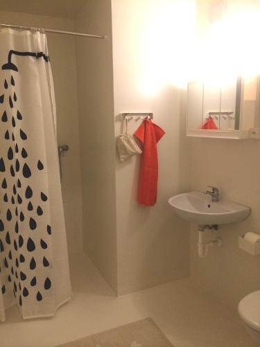 a bathroom with a shower curtain and a sink at Modtrip Switzerland in Grünenmatt