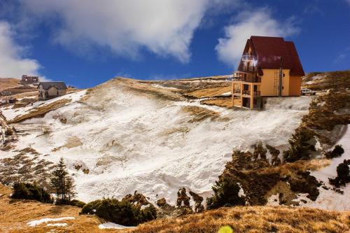 Gallery image of Cabana Andreea Telescaun in Ranca