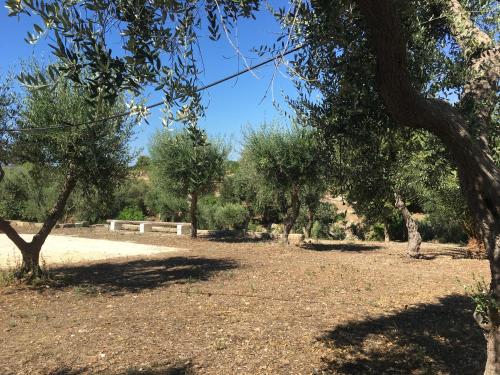 Κήπος έξω από το Riserva Ancelle
