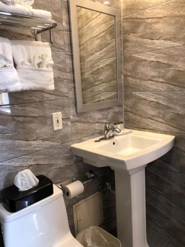 ein Badezimmer mit einem Waschbecken, einem WC und einem Spiegel in der Unterkunft The Vue Express @ 39th Street in Brooklyn