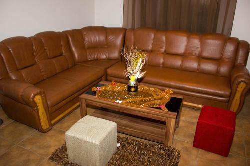 Ruang duduk di Cabana Andreea Telescaun