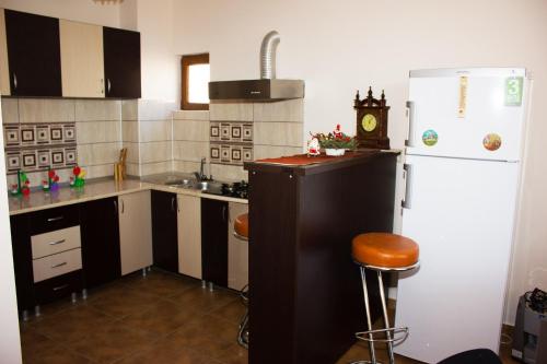a small kitchen with a white refrigerator and a sink at Cabana Andreea Telescaun in Ranca