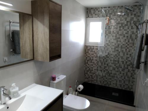 a bathroom with a sink and a shower and a toilet at Apartamento boltaña in Boltaña