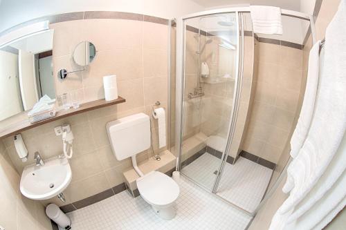 a bathroom with a shower and a toilet and a sink at Frühstückshotel Waldbauer in Bad Schallerbach