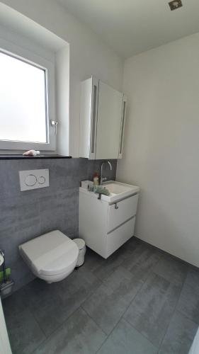 een witte badkamer met een toilet en een wastafel bij Chambre d'hôte "Minergy" in Donatyre