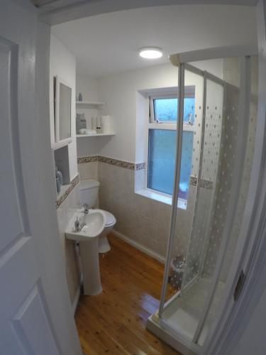 La salle de bains est pourvue d'une douche, de toilettes et d'un lavabo. dans l'établissement Grenane Heights Getaway, à Kenmare