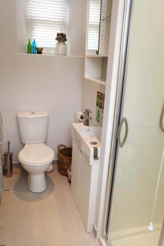 a bathroom with a toilet and a sink and a shower at Micro Barn Mickleton Barnard Castle in Mickleton