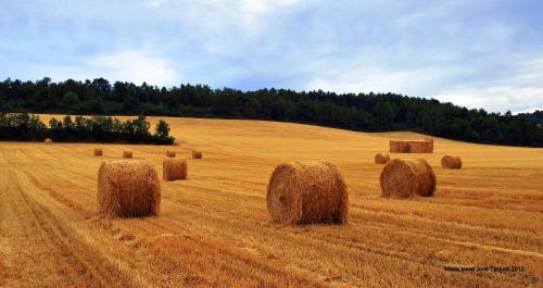 a large field filled with hay bales at Mas de l'Aranyó - Eco Wellness Spa in Hostafranco