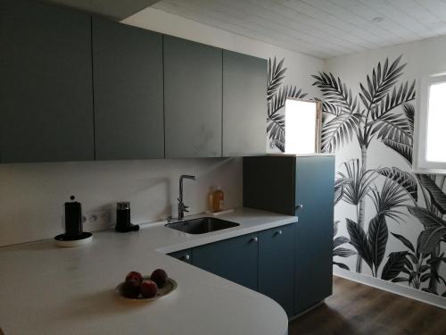 una cucina con armadi verdi e un cesto di frutta su un bancone di Appartement à 300 m du lac et des commerces ad Annecy