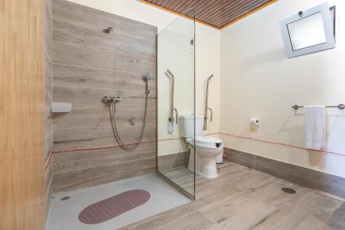 a bathroom with a shower and a toilet at Quinta Frizado in Prazeres