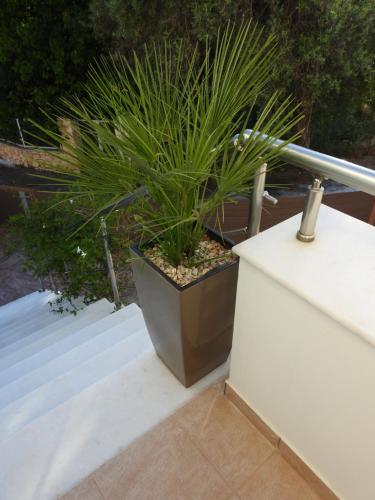 Сад в Creta Galini House
