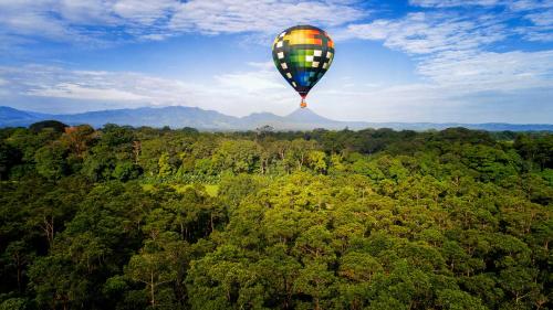 a hot air balloon flying over a forest at La Finca Lodge in Fortuna