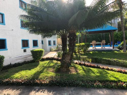 a palm tree in front of a building at La Gaviota A3 in Juan Dolio