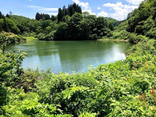 a river in the middle of a forest at Guest House Hostel yukuru in Iiyama
