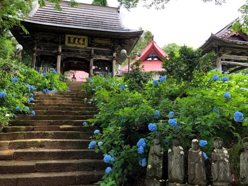 a building with stairs in front of blue flowers at Guest House Hostel yukuru in Iiyama