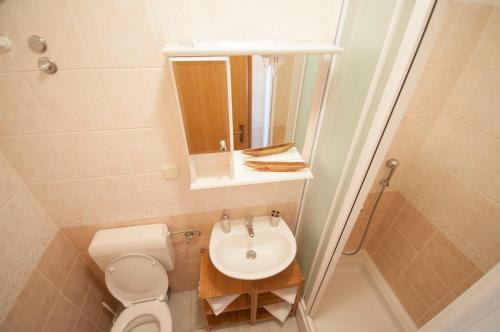a small bathroom with a toilet and a sink at Župa Dubrovačka Guest House in Mlini