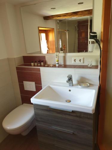 La salle de bains est pourvue d'un lavabo, de toilettes et d'un miroir. dans l'établissement Ökologische Ferienwohnung Becker, à Kottmar
