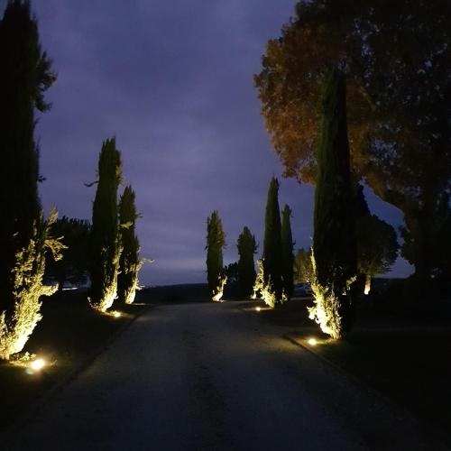 a road with trees and lights at night at Propriété Le Monneton in Sainte-Christie