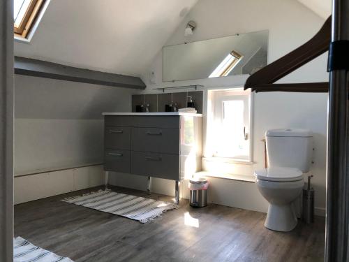 a bathroom with a toilet and a window at Haras Cour Lozey in Sainte-Marguerite-des-Loges