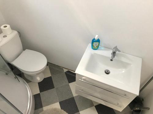 a bathroom with a white sink and a toilet at Borowiak in Szteklin