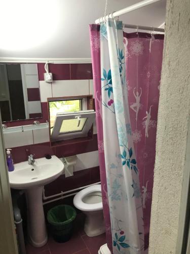 Φωτογραφία από το άλμπουμ του Casa Radu στην Τούλτσεα