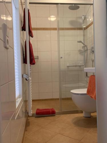 a bathroom with a glass shower and a toilet at Hotel Sonnenhof in Bad Wildbad